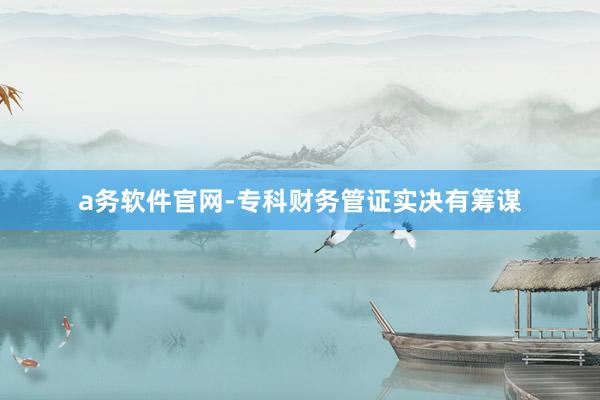 a务软件官网-专科财务管证实决有筹谋